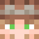 Image for Franly Minecraft Player