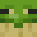 Image for FreeFrog9 Minecraft Player