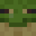 Image for FrogGamer Minecraft Player