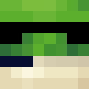 Image for Froggily Minecraft Player