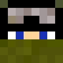 Image for Frogman300 Minecraft Player