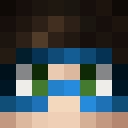 Image for Froms Minecraft Player