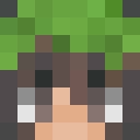 Image for Funa_ Minecraft Player