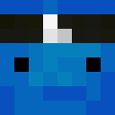 Image for Furrier Minecraft Player