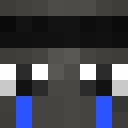 Image for FutureLemon Minecraft Player