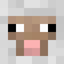 Image for Fwarf Minecraft Player