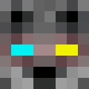 Image for GYNI Minecraft Player