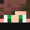 Image for Gaichi Minecraft Player