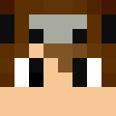 Image for Gamer_Flash Minecraft Player