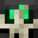 Image for Garuh Minecraft Player