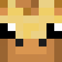 Image for Girafffee Minecraft Player