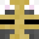 Image for Golup Minecraft Player