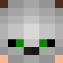 Image for Gr8Bizzo Minecraft Player