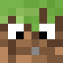 Image for Grassers Minecraft Player