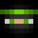 Image for Gre3nz Minecraft Player