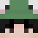 Image for Grenouille1001 Minecraft Player