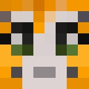 Image for GruJr Minecraft Player