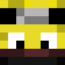 Image for Gruci Minecraft Player