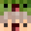 Image for Gustaviin Minecraft Player