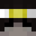 Image for H2LA Minecraft Player