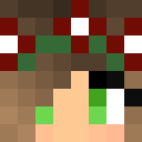 Image for HAgamer Minecraft Player