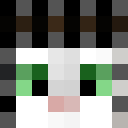 Image for Hakam Minecraft Player