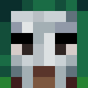 Image for Halomi Minecraft Player