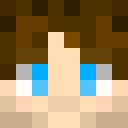 Image for HamsterPlayz Minecraft Player