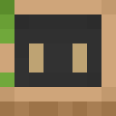 Image for Hankey Minecraft Player