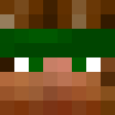 Image for Hankie Minecraft Player