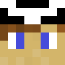 Image for HarmonicMinor Minecraft Player