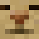 Image for HeerGeert Minecraft Player