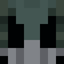 Image for Hell_Penguin Minecraft Player