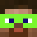 Image for Helvi Minecraft Player