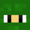 Image for Henroo_Here Minecraft Player
