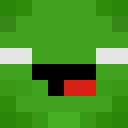 Image for Herobrineturtle Minecraft Player