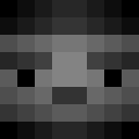 Image for Heroic_Gaming Minecraft Player