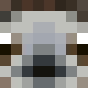 Image for HeyItsBanana Minecraft Player