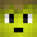 Image for HikaYT Minecraft Player