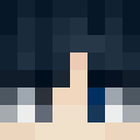 Image for Hipal Minecraft Player