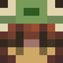 Image for Hironu Minecraft Player