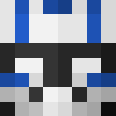 Image for Hoarfrost Minecraft Player