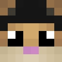 Image for Hokoyo Minecraft Player