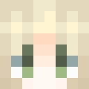 Image for Hollsi Minecraft Player