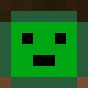 Image for Hopkinz Minecraft Player