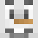 Image for HunGu Minecraft Player