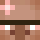 Image for Hword Minecraft Player