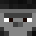 Image for IDKANAMETOUSE Minecraft Player