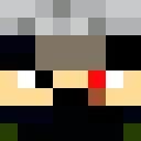 Image for IGATE Minecraft Player