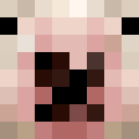 Image for ImGayForFetus Minecraft Player